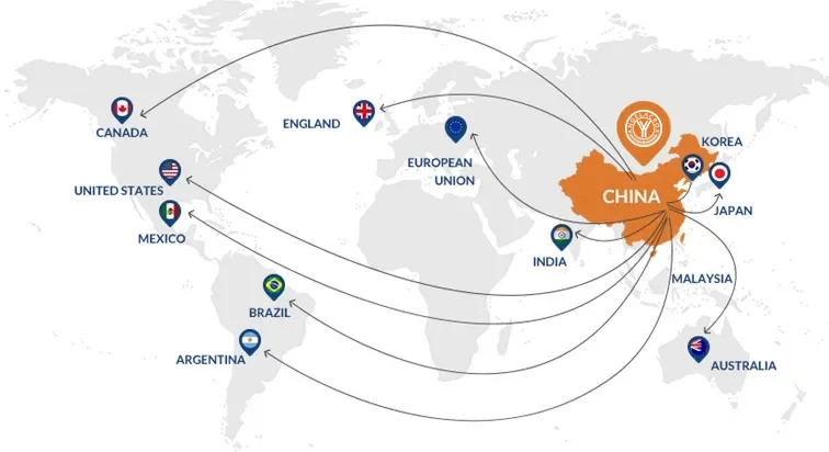 International Partners